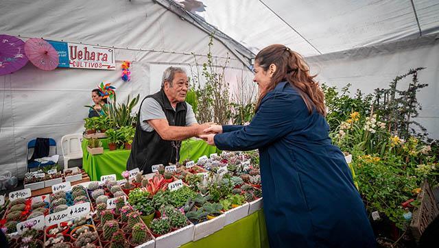 Más de 110 mil personas disfrutaron de la Fiesta Provincial del Plantín Floral