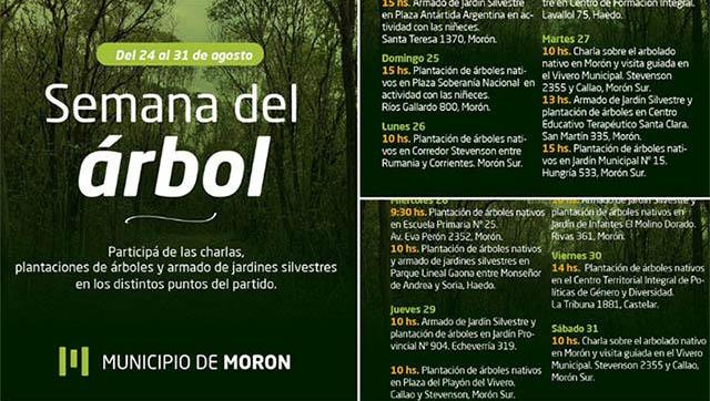 Celebra la semana del árbol en Morón